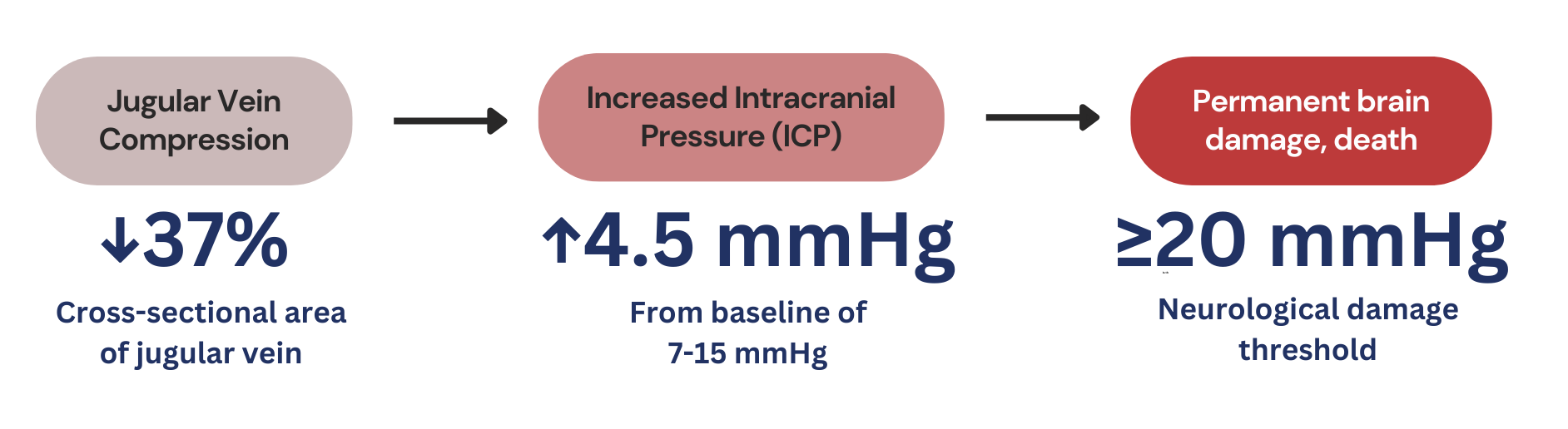 ICP Diagram